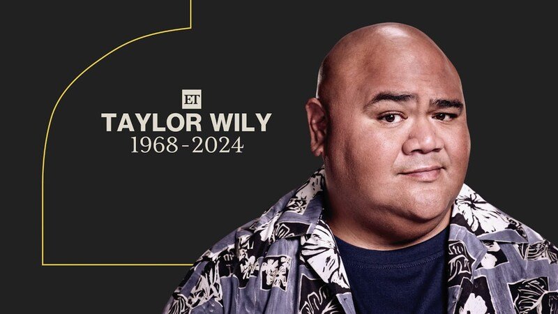 taylor wily net worth